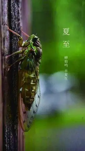 【七律:二首】《夏至》诗人:李文清（北京）（图3）