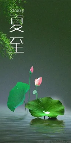 欣赏佳作（律词各一首）《夏至》诗人:平湖（吉林）（图5）