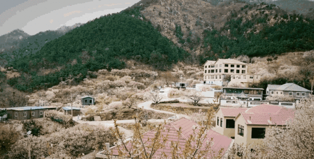 【北京头条】推介优秀作家诗人方亮老师《遥远的小山村》请欣赏（图6）