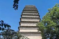 【北京头条】推介骏马奔腾老师《大雁塔长安街》外两首请欣赏（图7）