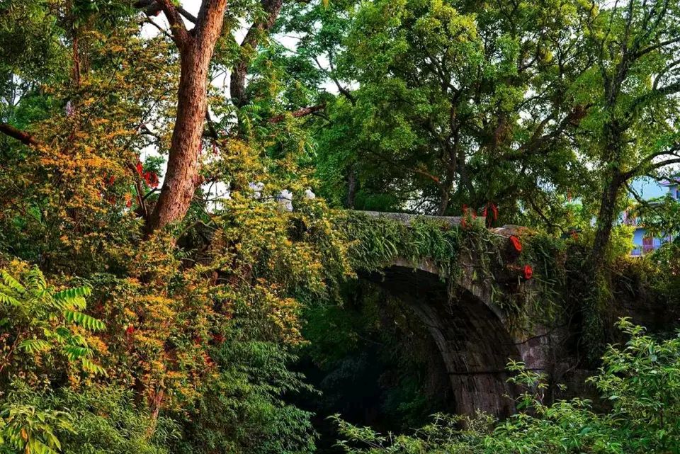 【北京头条】推介勤珷组诗请欣赏（图8）