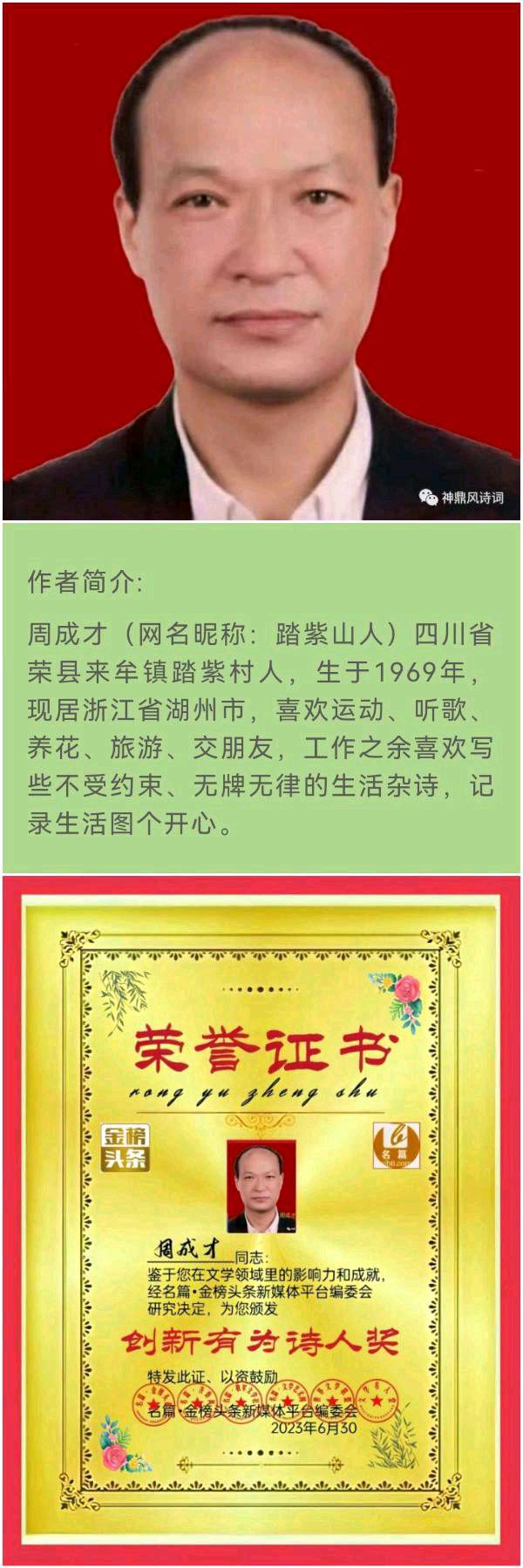 【头北京条】推介周成才《赞溪水紫兰本家姐》请欣赏（图8）