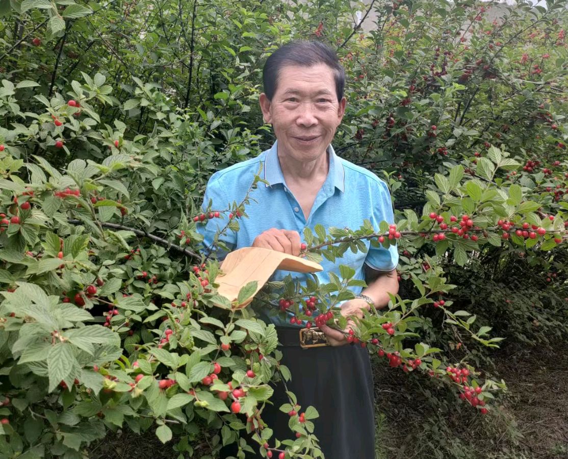 【北京头条】推介优秀作家诗人方亮老师《熟透的红樱桃》请欣赏（图5）