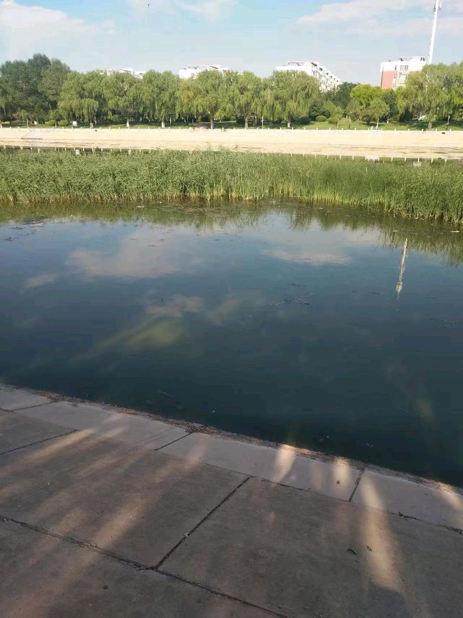 【诗词鉴赏】煎熬（外七首）文/王国龙（图6）