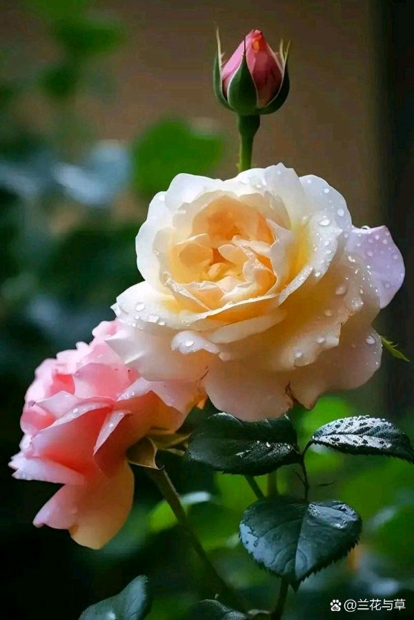 【北京头条】推介（陕西）耕田《七律•党帜锤镣赤县扬》请欣赏（图10）