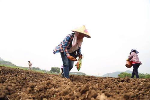 【北京头条】推介周成才组请您欣赏（图5）