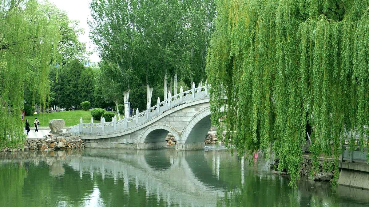 【诗词鉴赏】七律•夏景(外两首)作者/晓言(图3)