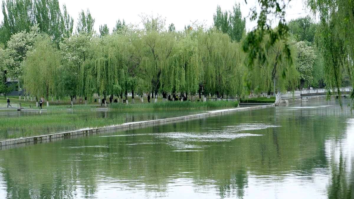 【诗词鉴赏】七律•夏景(外两首)作者/晓言(图4)
