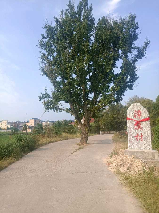 《七律 · 高枫吟》作者/吴云钦(图3)