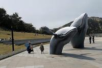 【北京头条】推介（连运港）优秀诗人陈守邦《鹧鸪天•夏游在海一方公园》请欣赏（图6）