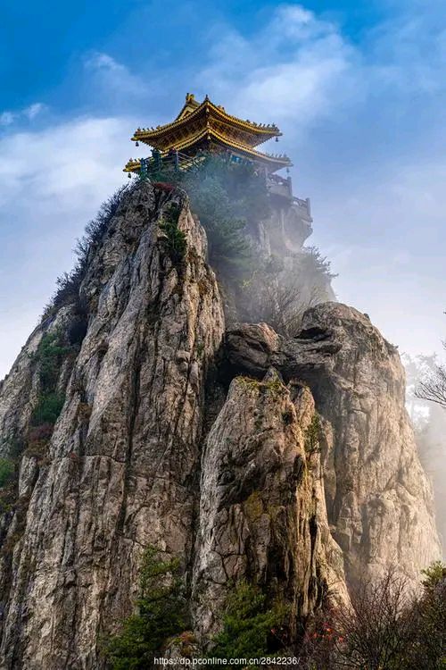 【网上如今真热闹，鲜花杂草乱糟糟。】 佳作欣赏张德先老师诗六首（图2）