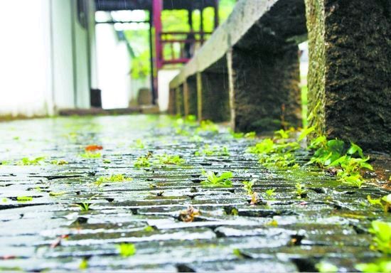 【名家精品】雷雨（外一首）文/瘦雁（图5）