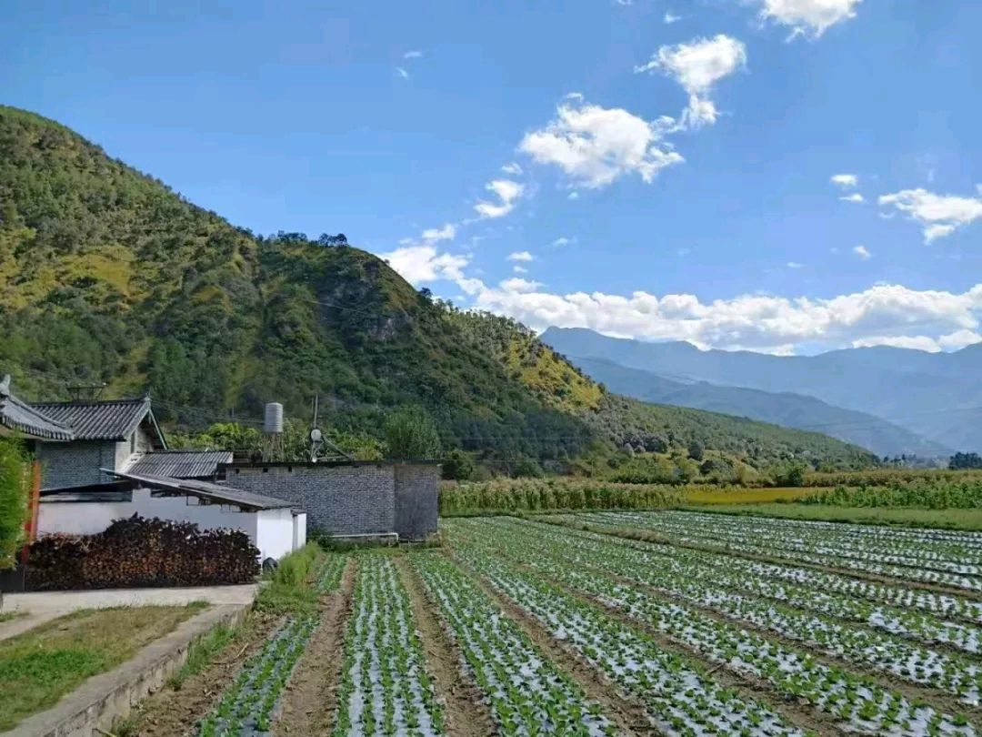 【诗歌鉴赏】在门口的山坡上喊山 文/马龙田（图3）