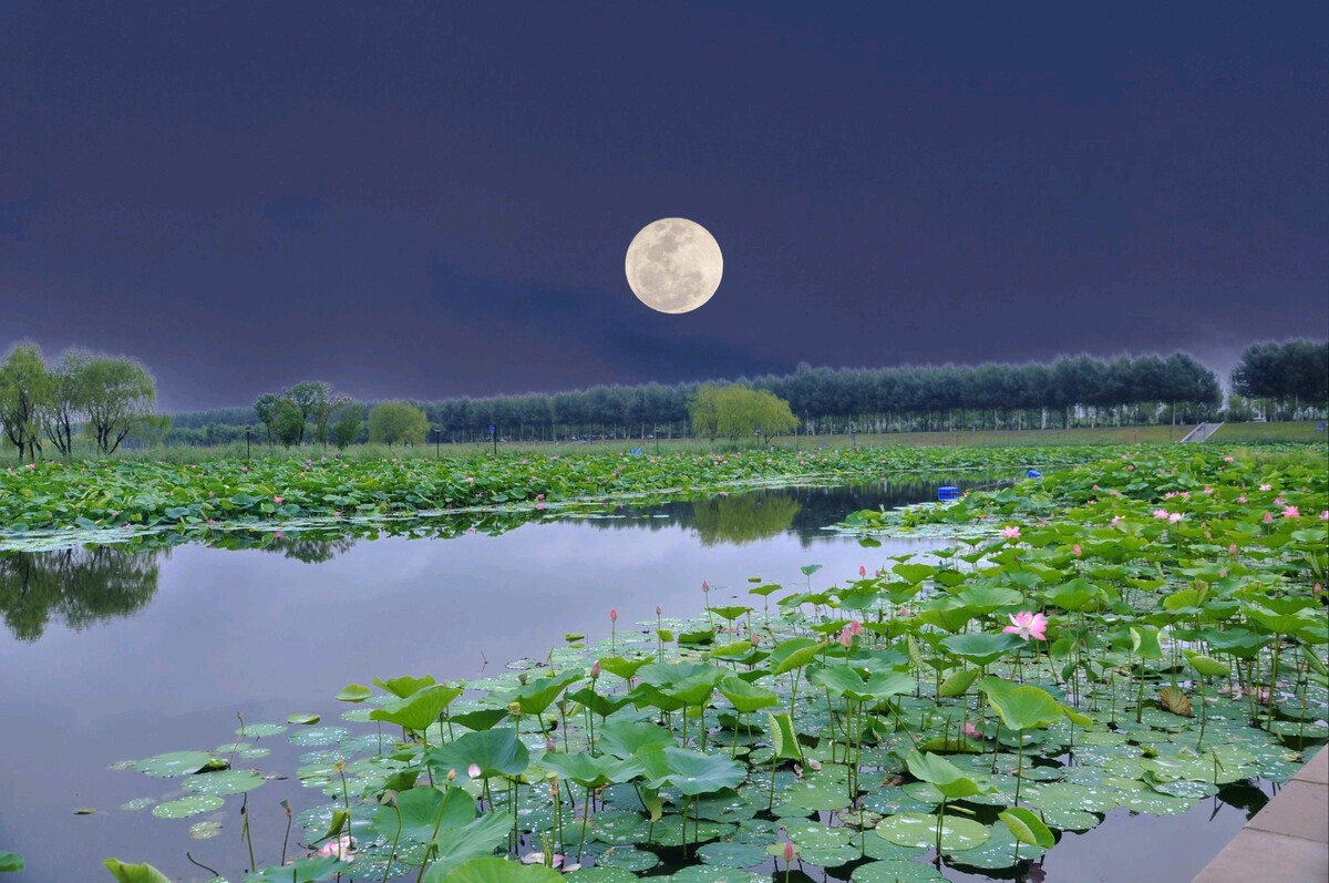 【枫雅汇看图约诗】第292期《夏夜》（图6）