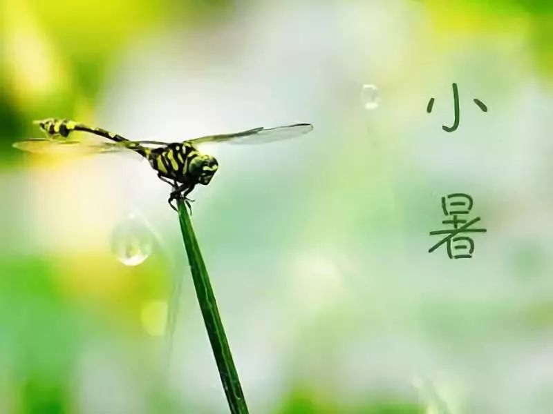 【诗词鉴赏】小暑三首 文/武军（图5）