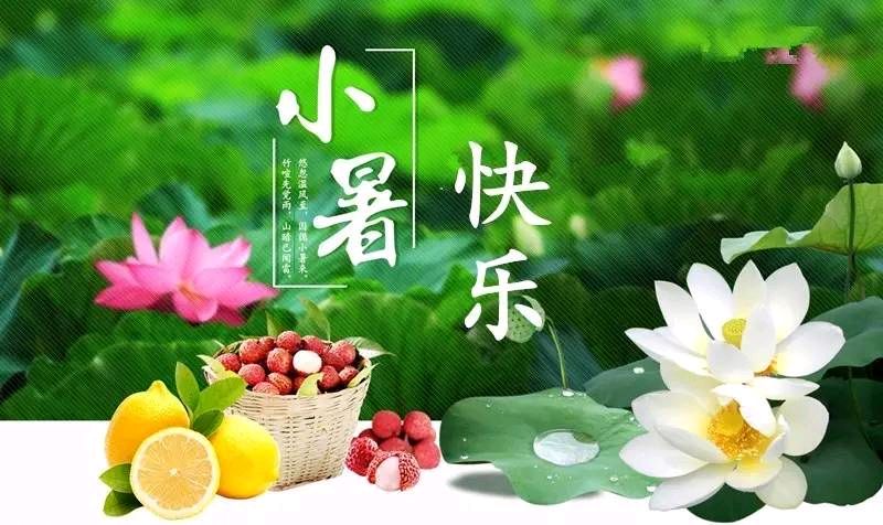 【诗词鉴赏】小暑三首 文/武军（图3）