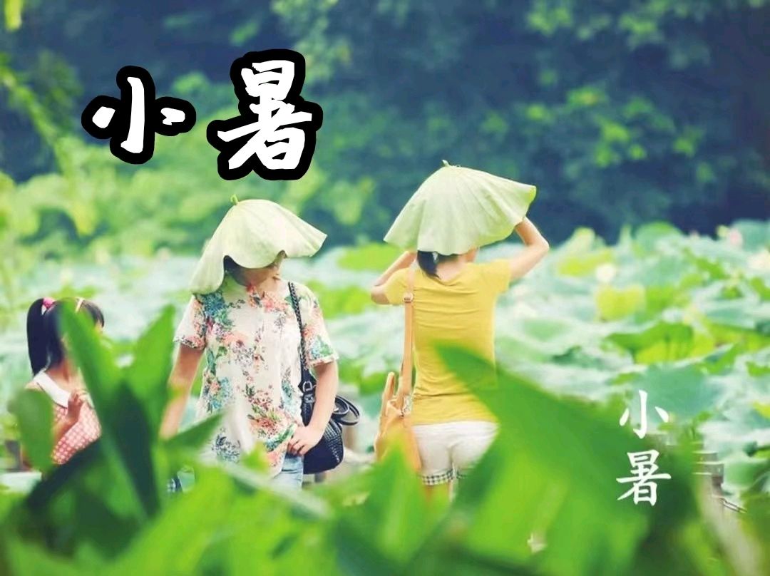 【诗词鉴赏】题图组诗/七绝八首 文/平安是福(图10)
