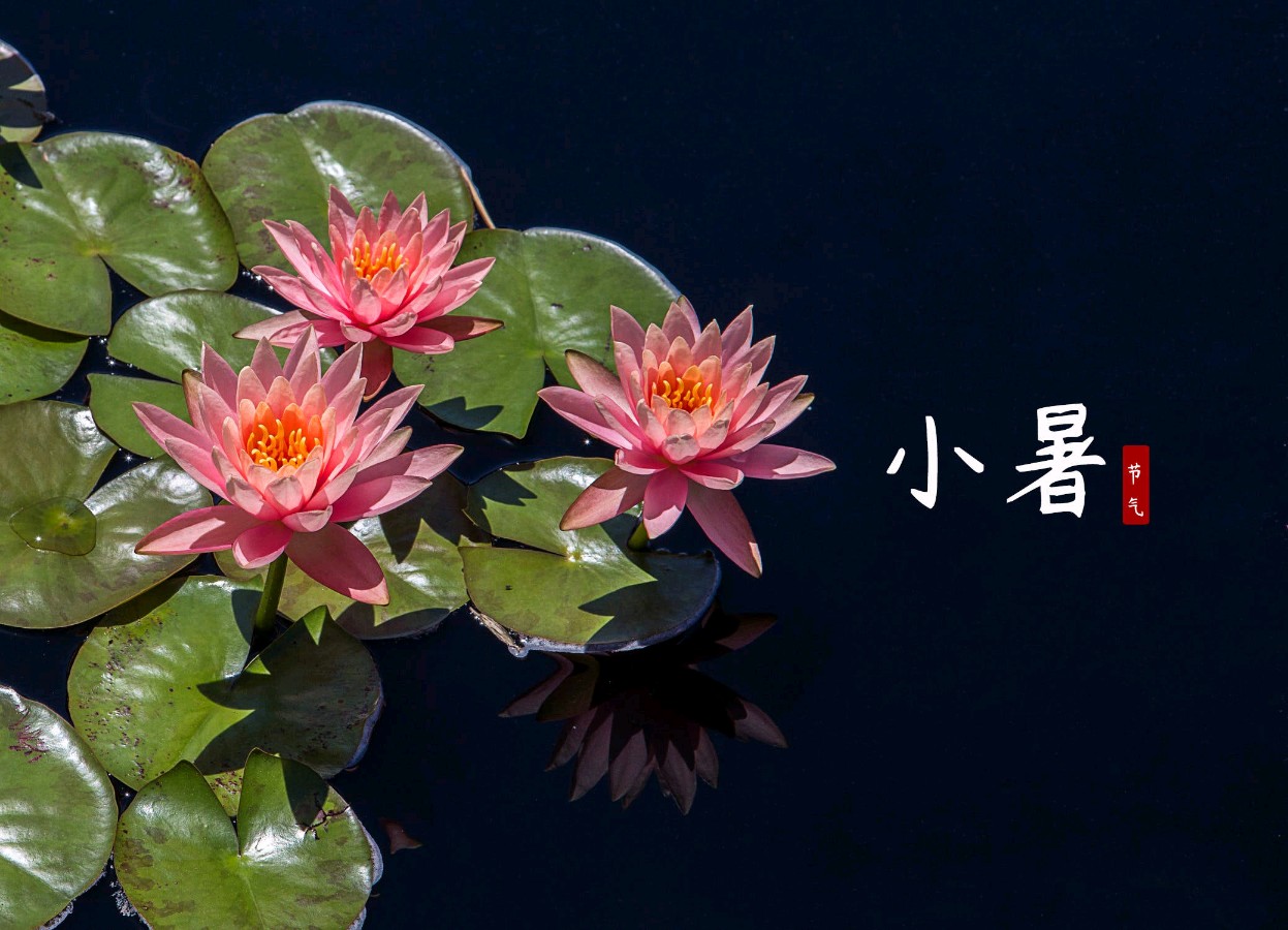 【神都诗社】第059期《小暑》（图5）