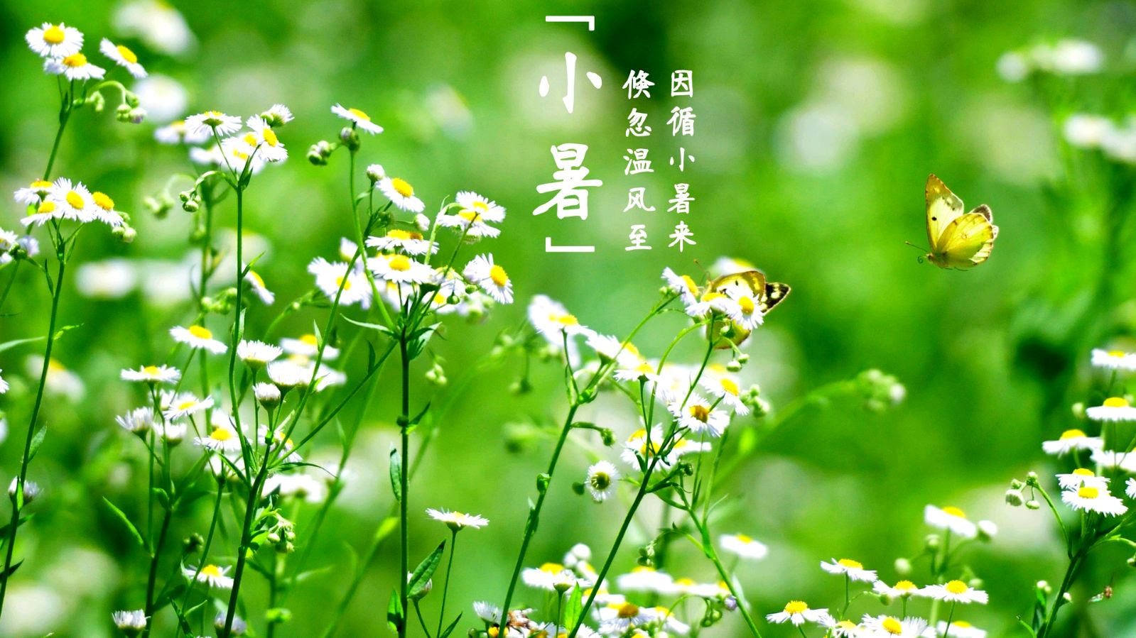 【神都诗社】第059期《小暑》（图9）