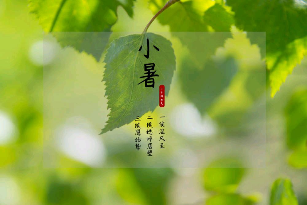 【神都诗社】第059期《小暑》（图13）