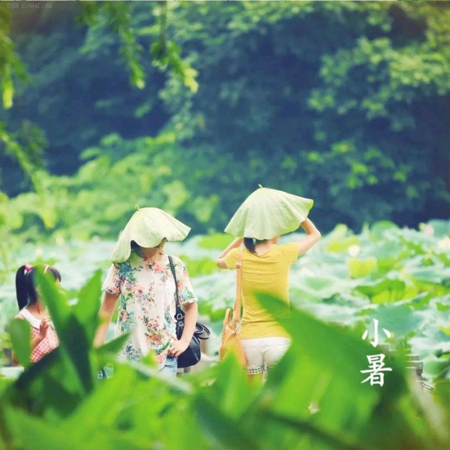 【神都诗社】第059期《小暑》（图15）