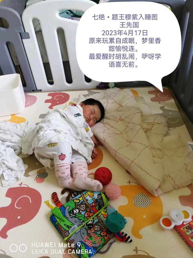 【北京头条】隆重推介优秀诗人王先国先生《写给王穆紫的诗词》十首请欣赏(图8)