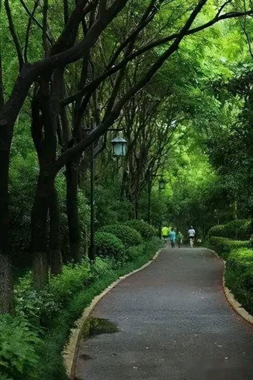 《七律 · 一生求己》作者/吴云钦(江西)(图5)