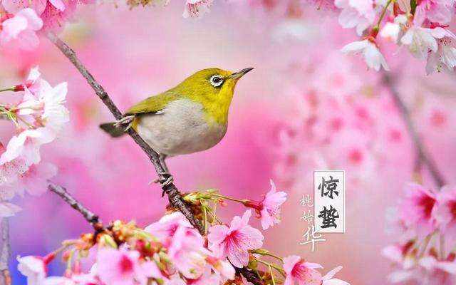 【北京头条】推介周玉欣《二十四节气歌》请关注(图7)