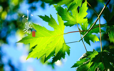 【北京头条】推介周玉欣《二十四节气歌》请关注(图15)