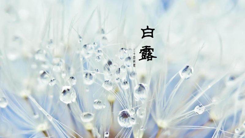 【北京头条】推介周玉欣《二十四节气歌》请关注(图19)