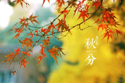 【北京头条】推介周玉欣《二十四节气歌》请关注(图20)