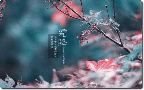【北京头条】推介周玉欣《二十四节气歌》请关注(图22)