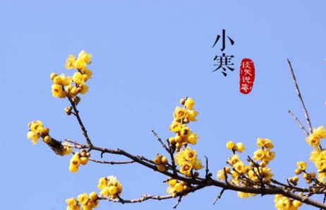 【北京头条】推介周玉欣《二十四节气歌》请关注(图27)