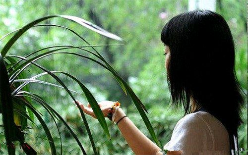 【诗词鉴赏】听雨 文/霍六亿（图4）