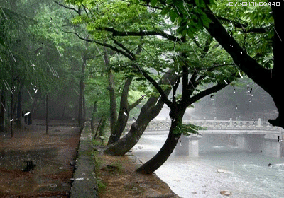 【枫雅汇看图约诗】第293期《夏雨》（图7）