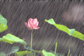 【枫雅汇看图约诗】第293期《夏雨》（图6）