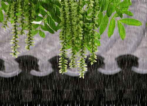 【枫雅汇看图约诗】第293期《夏雨》（图12）