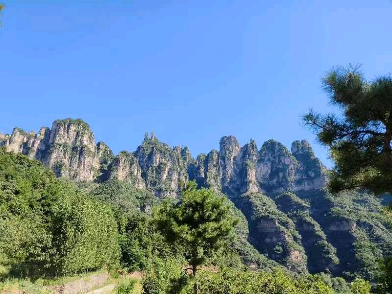 【诗词鉴赏】避暑 文/吴瑞英(图5)