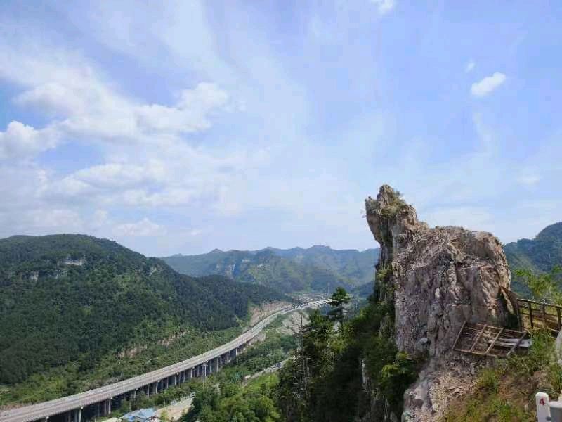 【诗词鉴赏】避暑 文/吴瑞英(图8)