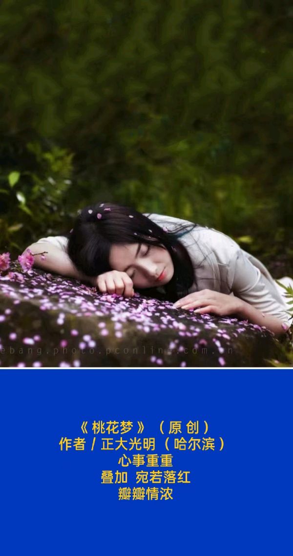题图微诗一组 情怨《落单》《桃花梦》《罢》作者/正大光明(哈尔滨)(图3)