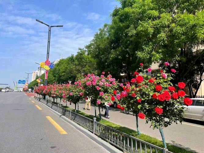 【北京头条】推介（新疆）优秀诗人李致勤《我爱夏日艳阳天》请欣赏（图6）