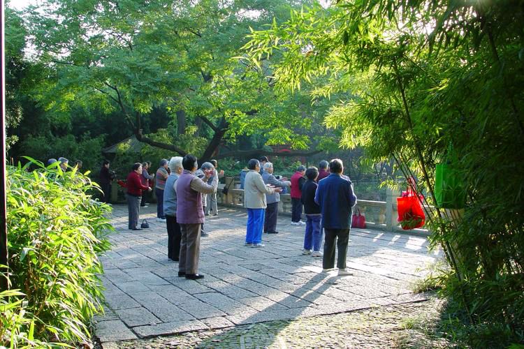 【北京头条】推介(山东)优秀诗人沈沛忠《七绝•长夏》外六首请欣赏(图8)