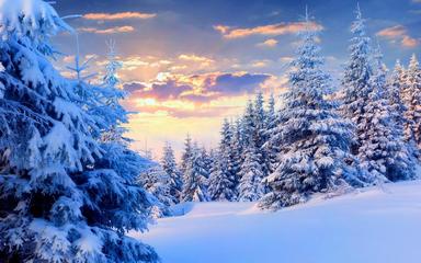 【北京头条】推介胡清普《冬观雪》请欣赏（图4）