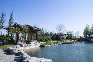 【诗词鉴赏】夏雨游园博园 文/李庆明（图4）