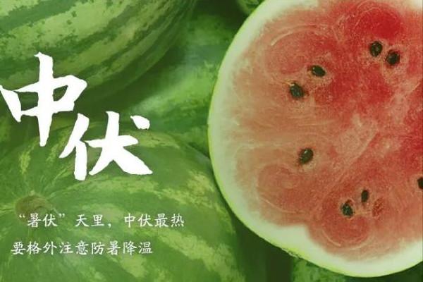 【枫雅汇看图约诗】第294期《热在中伏》（图5）