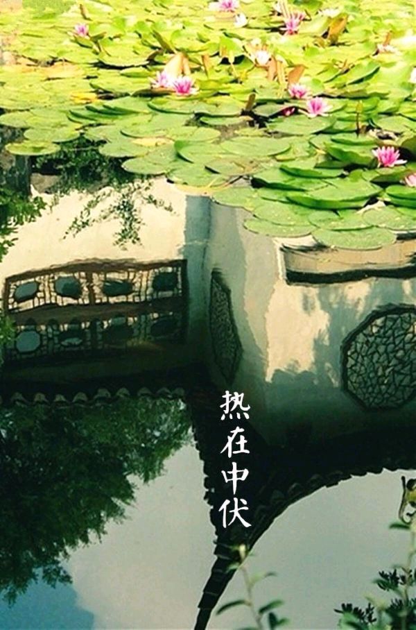【枫雅汇看图约诗】第294期《热在中伏》（图2）