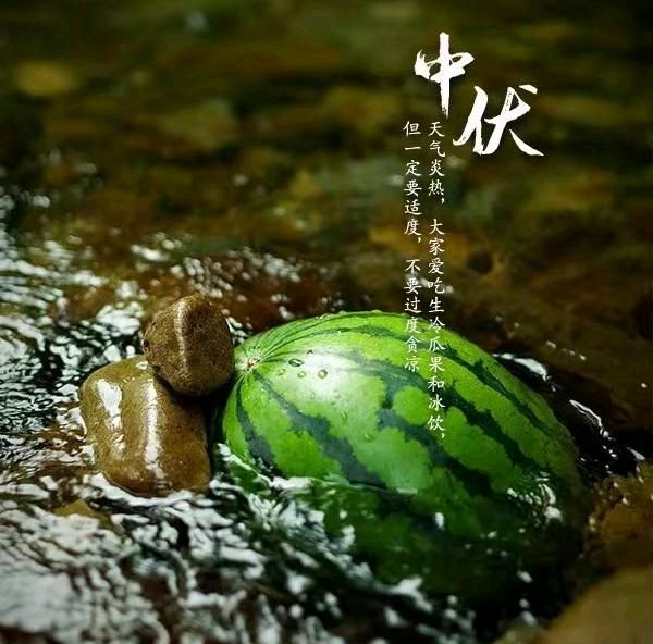 【枫雅汇看图约诗】第294期《热在中伏》（图8）