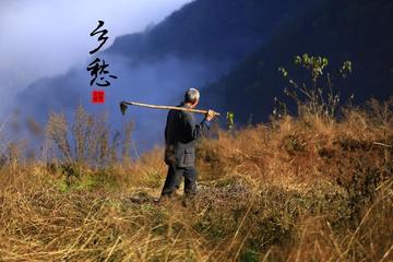 【北京头条】推介优秀诗人（江西）龙心红《夏早》外二首请欣赏（图5）