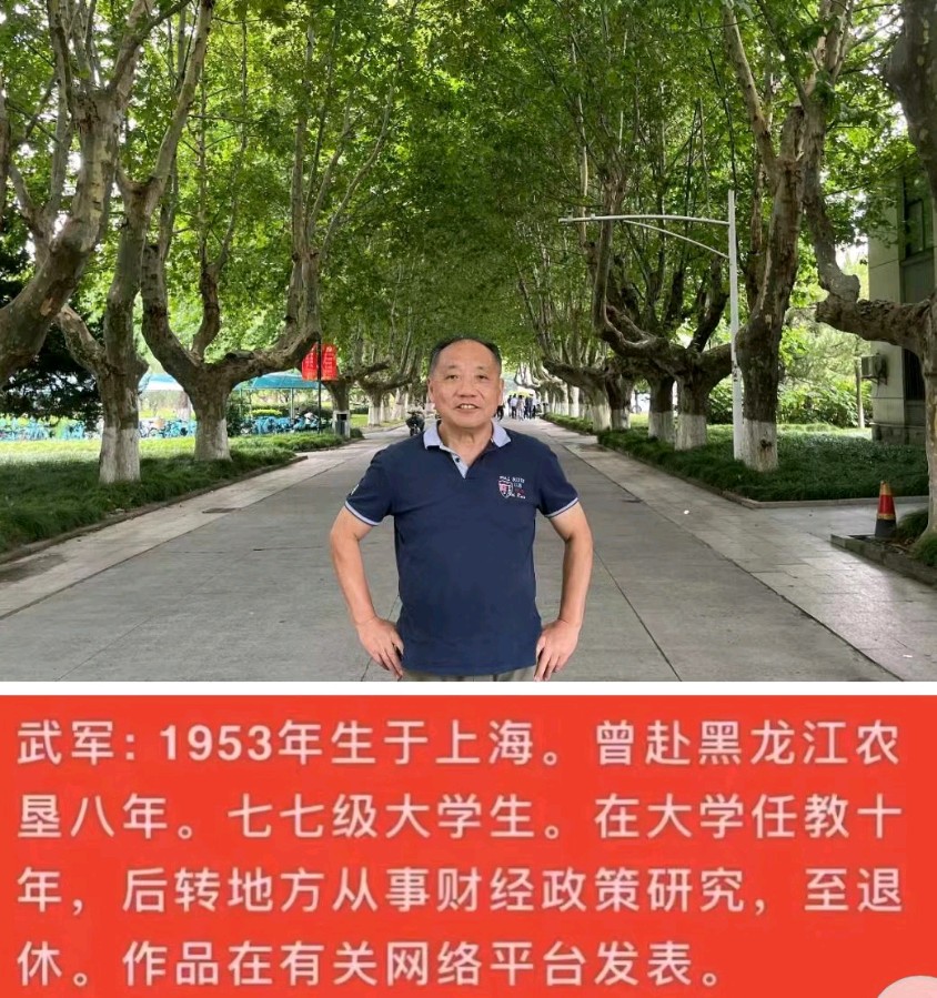 【诗词鉴赏】七律•大暑三首 文/武军（图7）