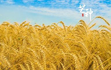 【北京头条】推介优秀诗人红尘一梦组诗请欣赏（图9）